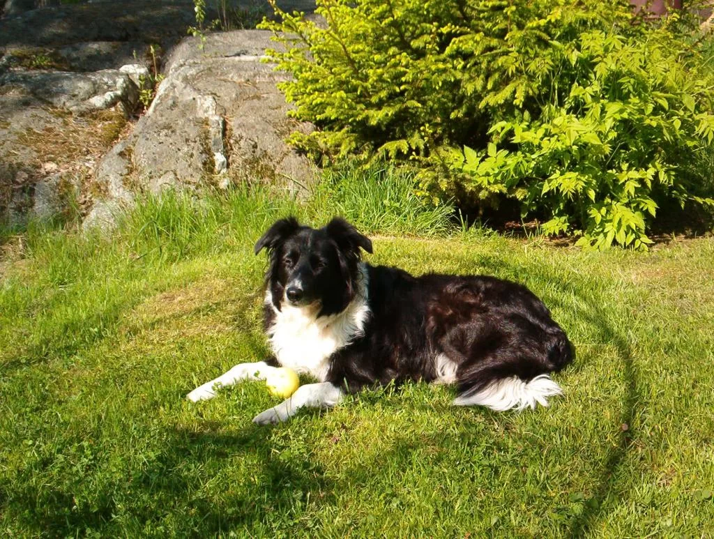 Queenine 03-06-02 nr23.webp