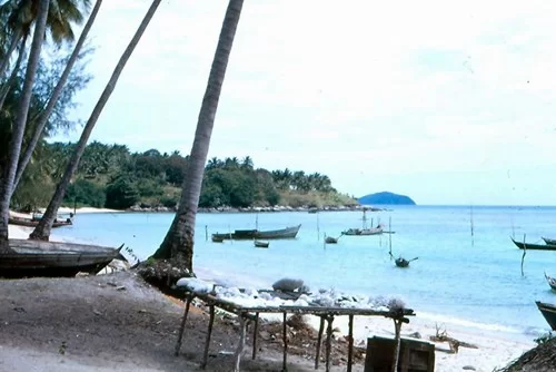 Rawaii (8).webp