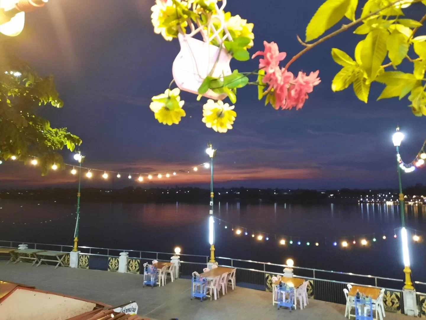 received_1006760610703514.webp