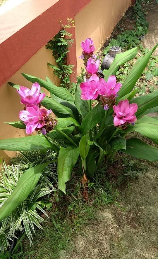 received_1272599053197419.jpeg