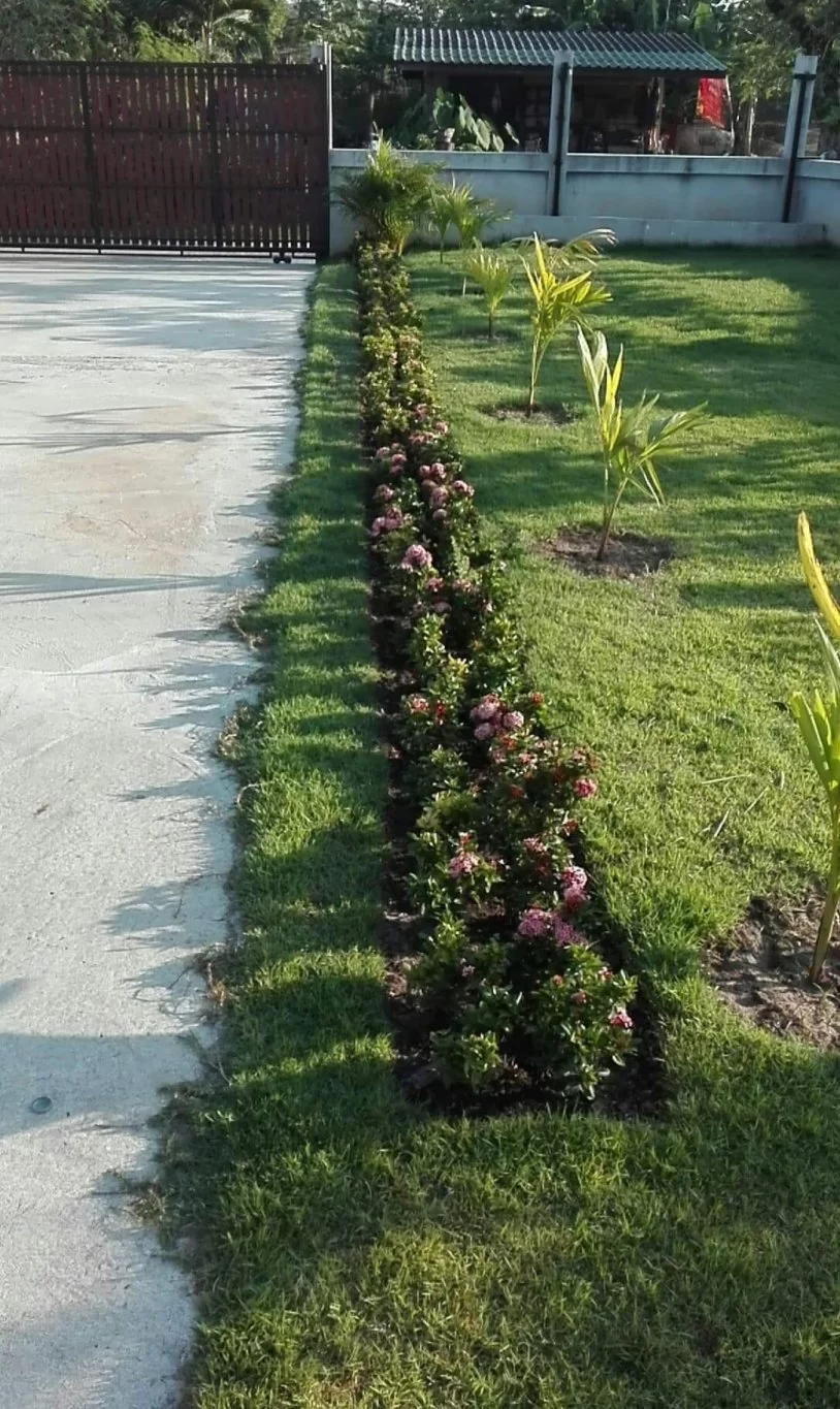 received_224292615132116.webp