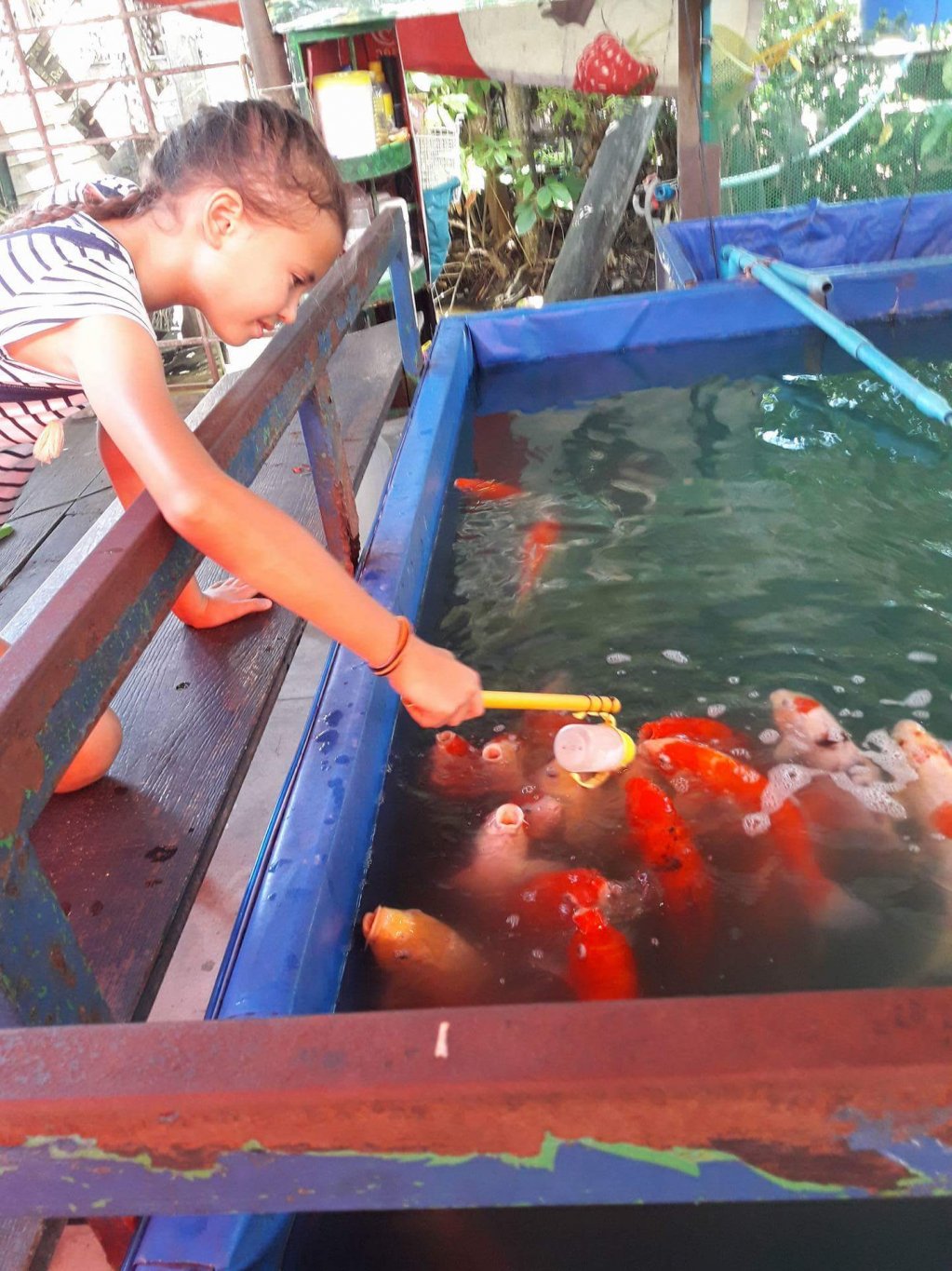 received_229751107558311.jpeg