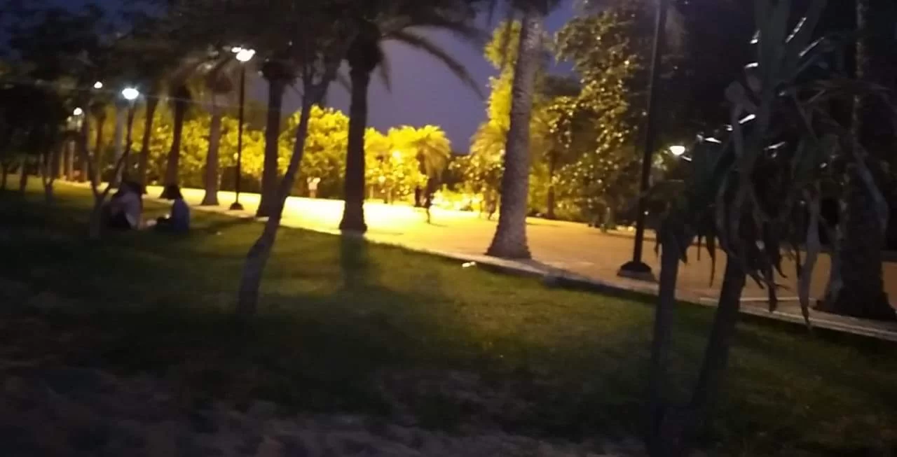 received_2452231318404242.jpeg