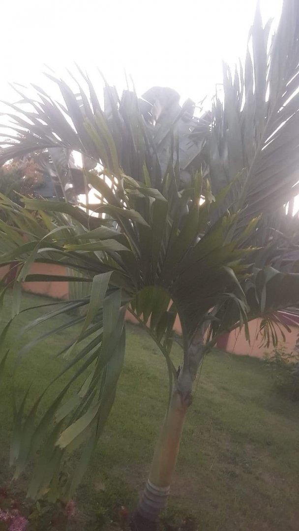 received_247563563504616.jpeg
