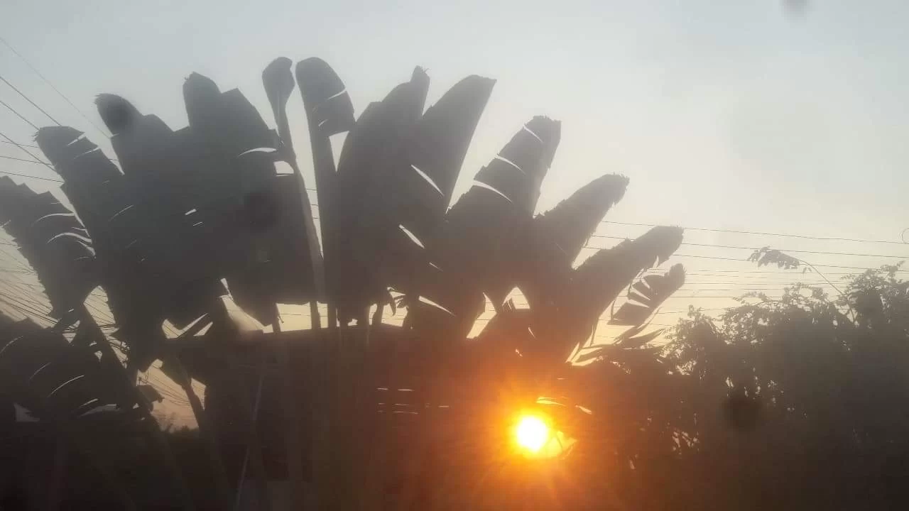 received_2815581058760282.webp