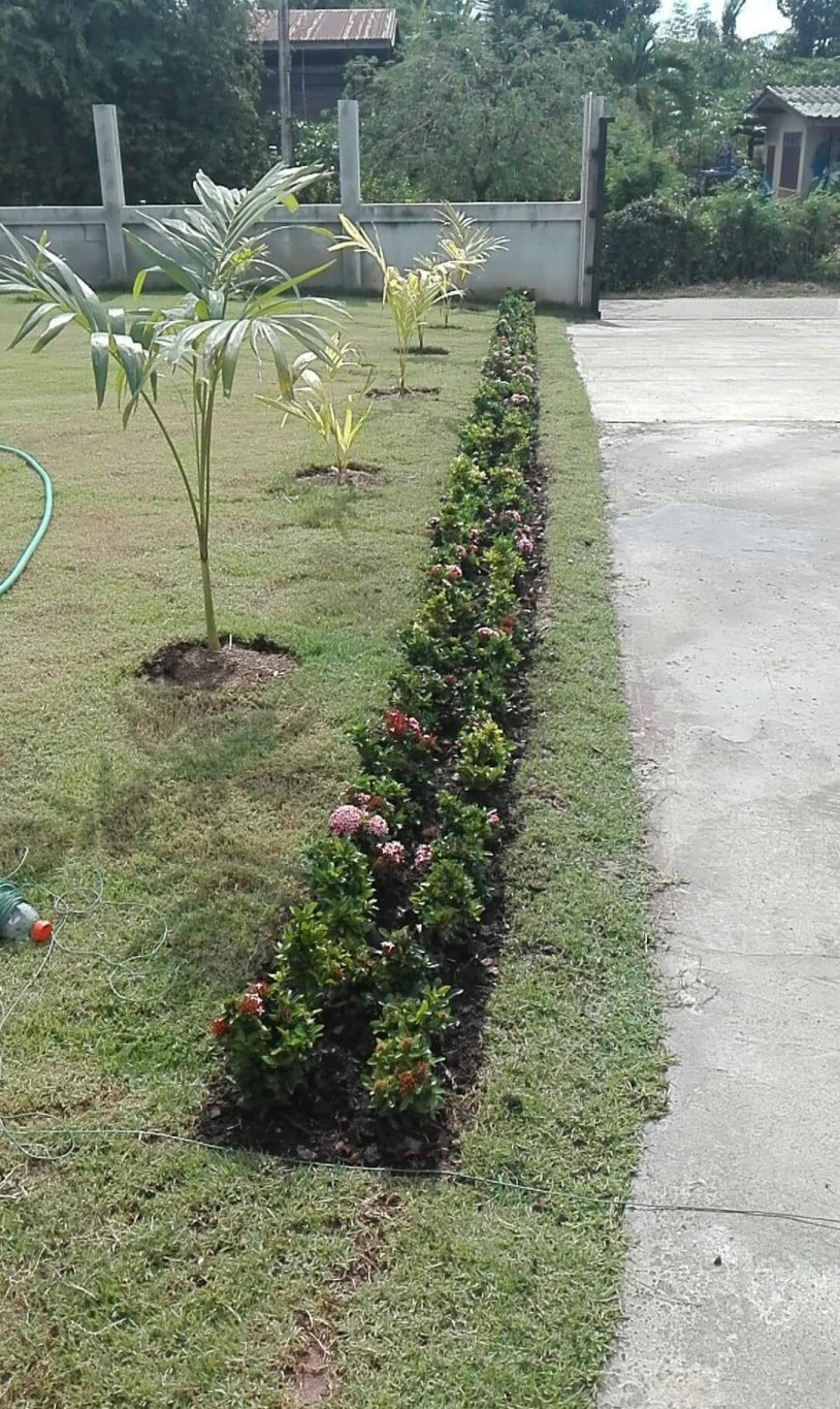 received_291140778275022.jpeg
