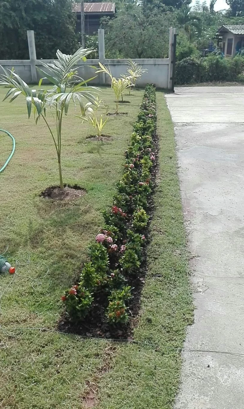 received_291140778275022.webp
