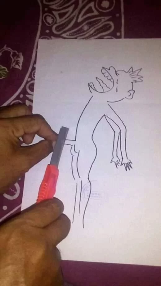 received_313615656735177.webp