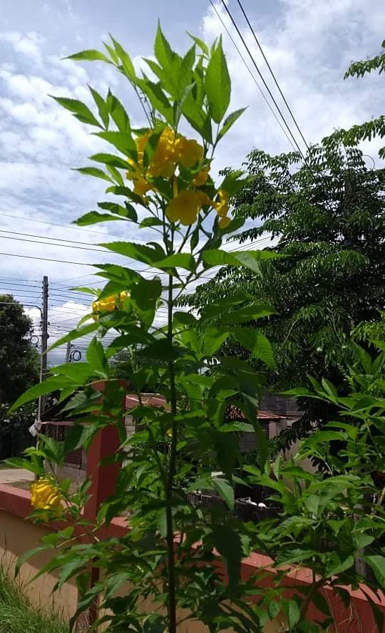 received_355922472861947.jpeg