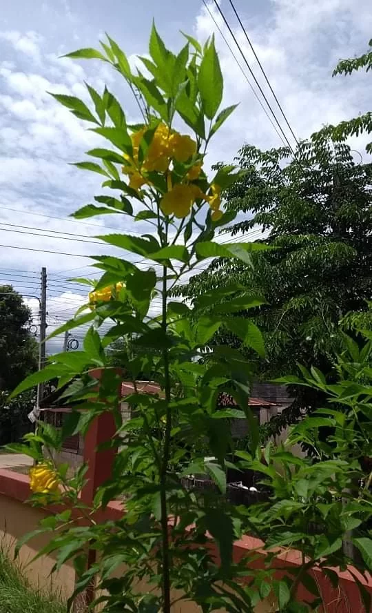 received_355922472861947.webp