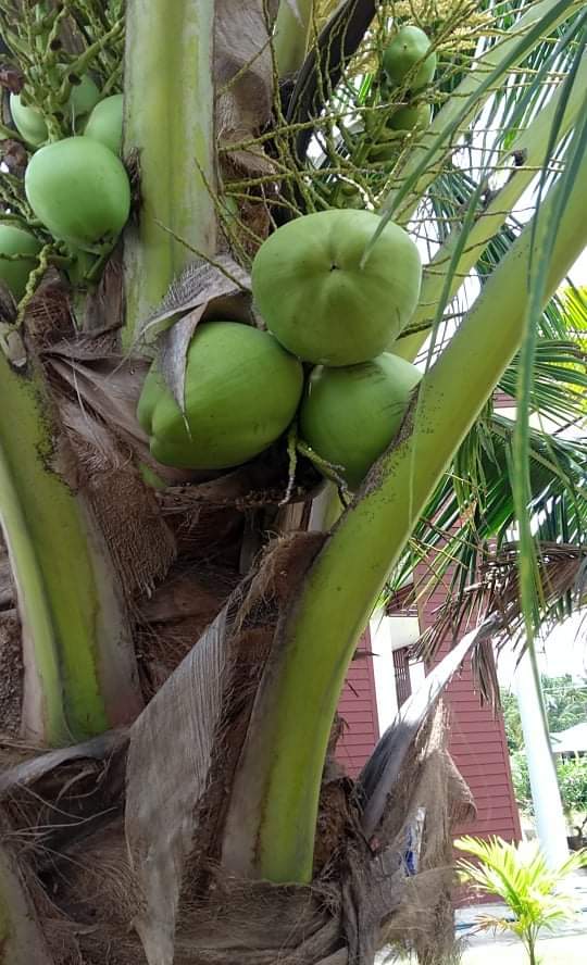 received_370182214711856.jpeg