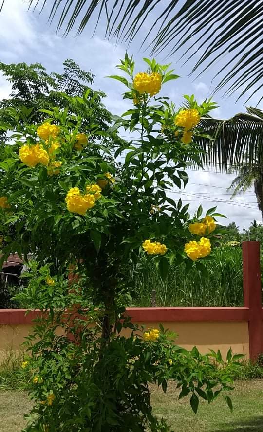 received_4193993097383207.jpeg