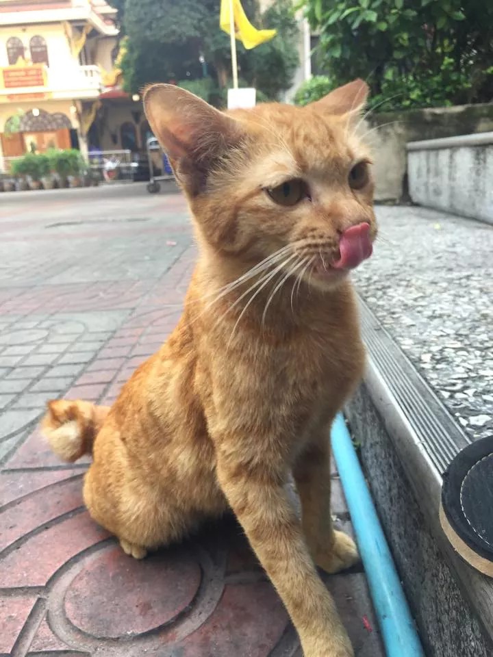 received_852710824780972.jpeg.jpg