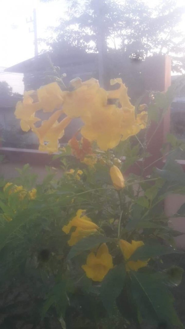 received_870988487025630.jpeg