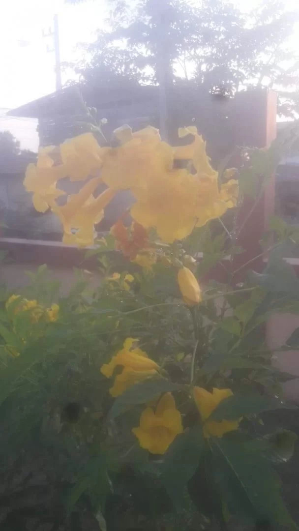 received_870988487025630.webp