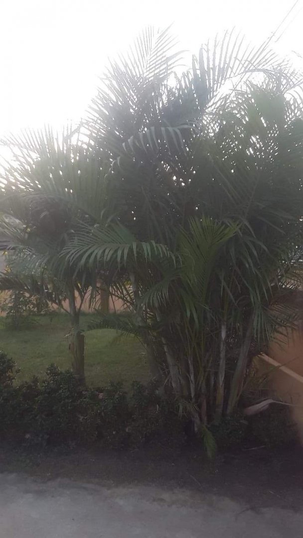 received_913257099214267.jpeg