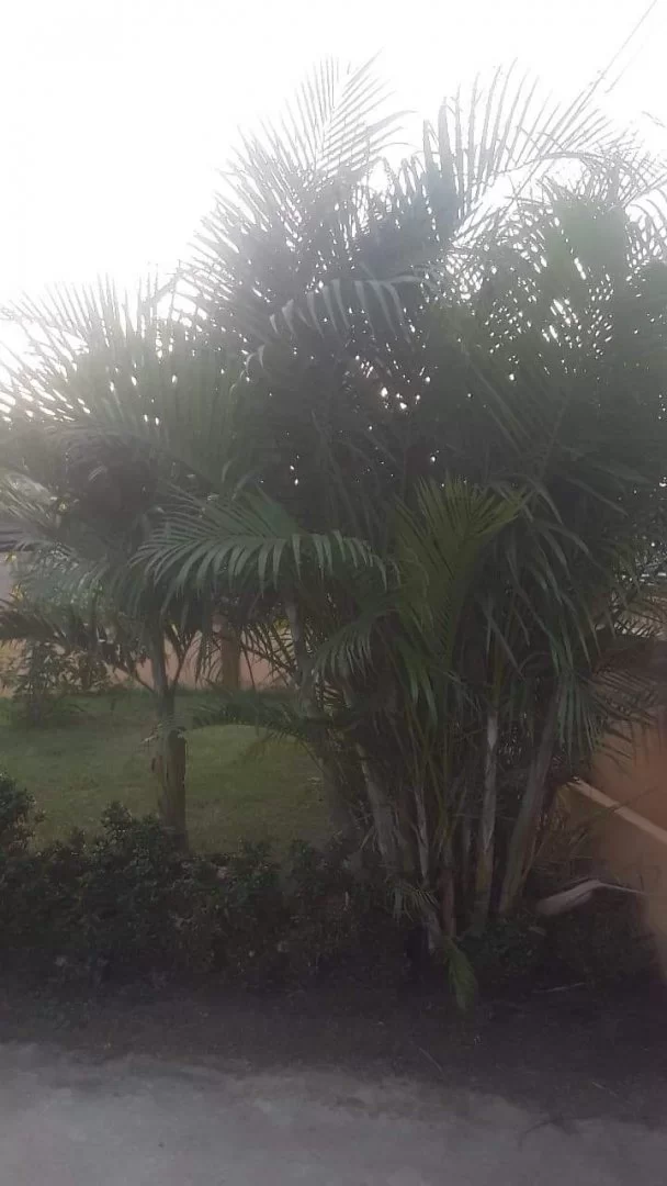 received_913257099214267.webp