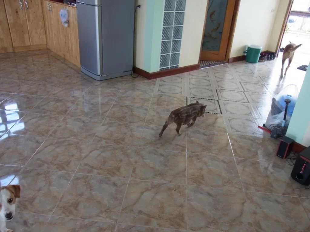 RIMG0163.webp