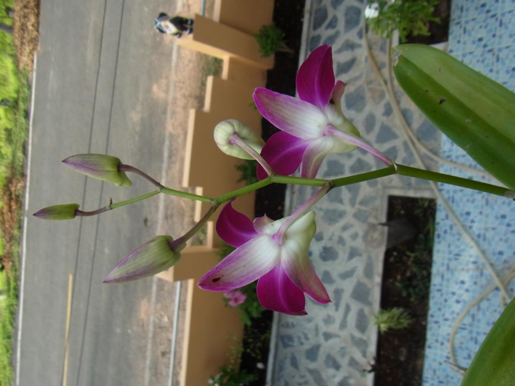 RIMG0929.jpg