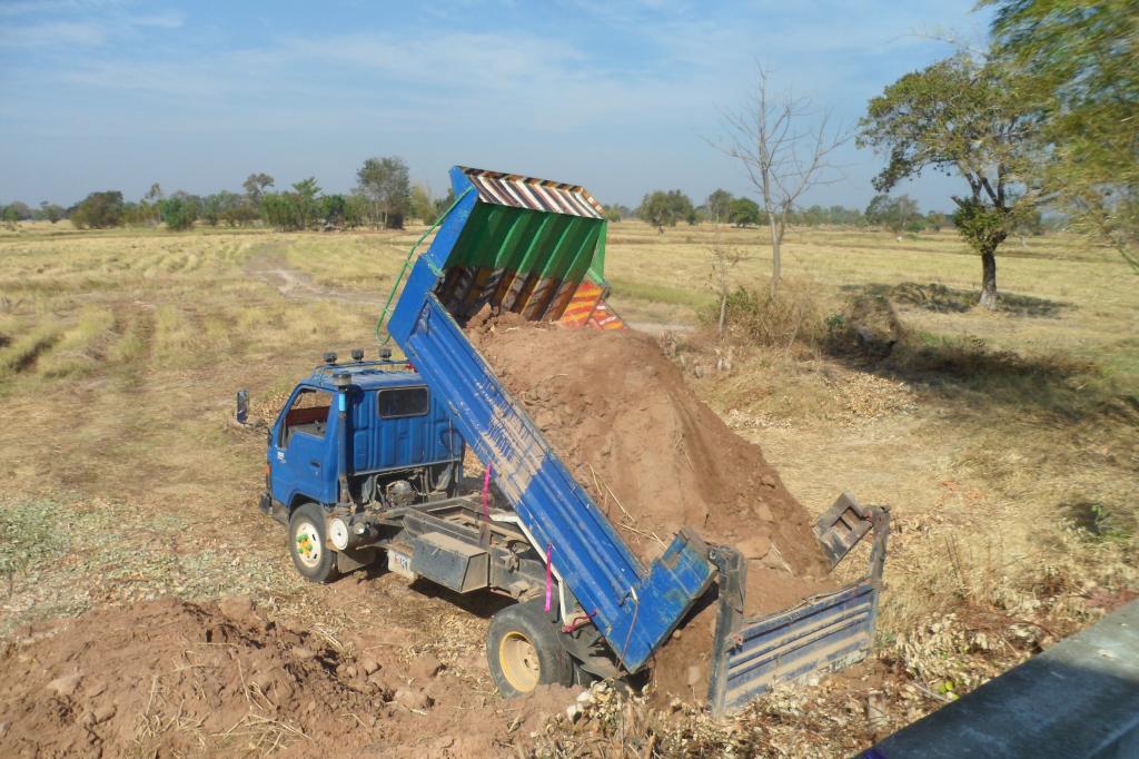 Root 077.jpg