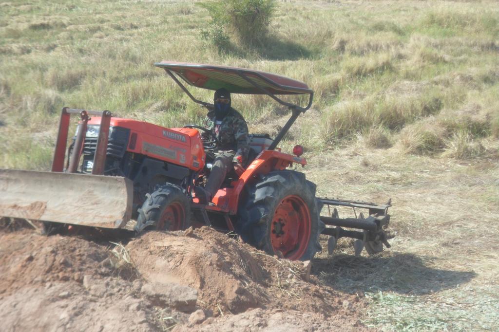 Root 084.jpg