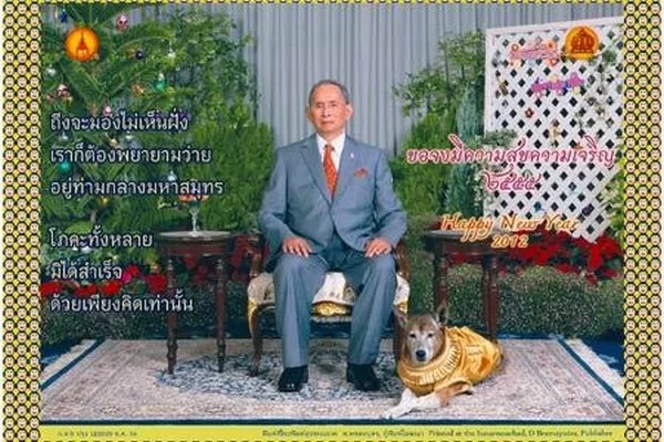 Royal.webp