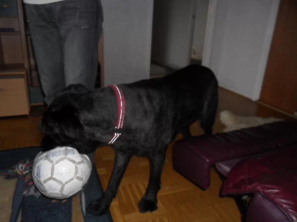 SAM_0482.webp