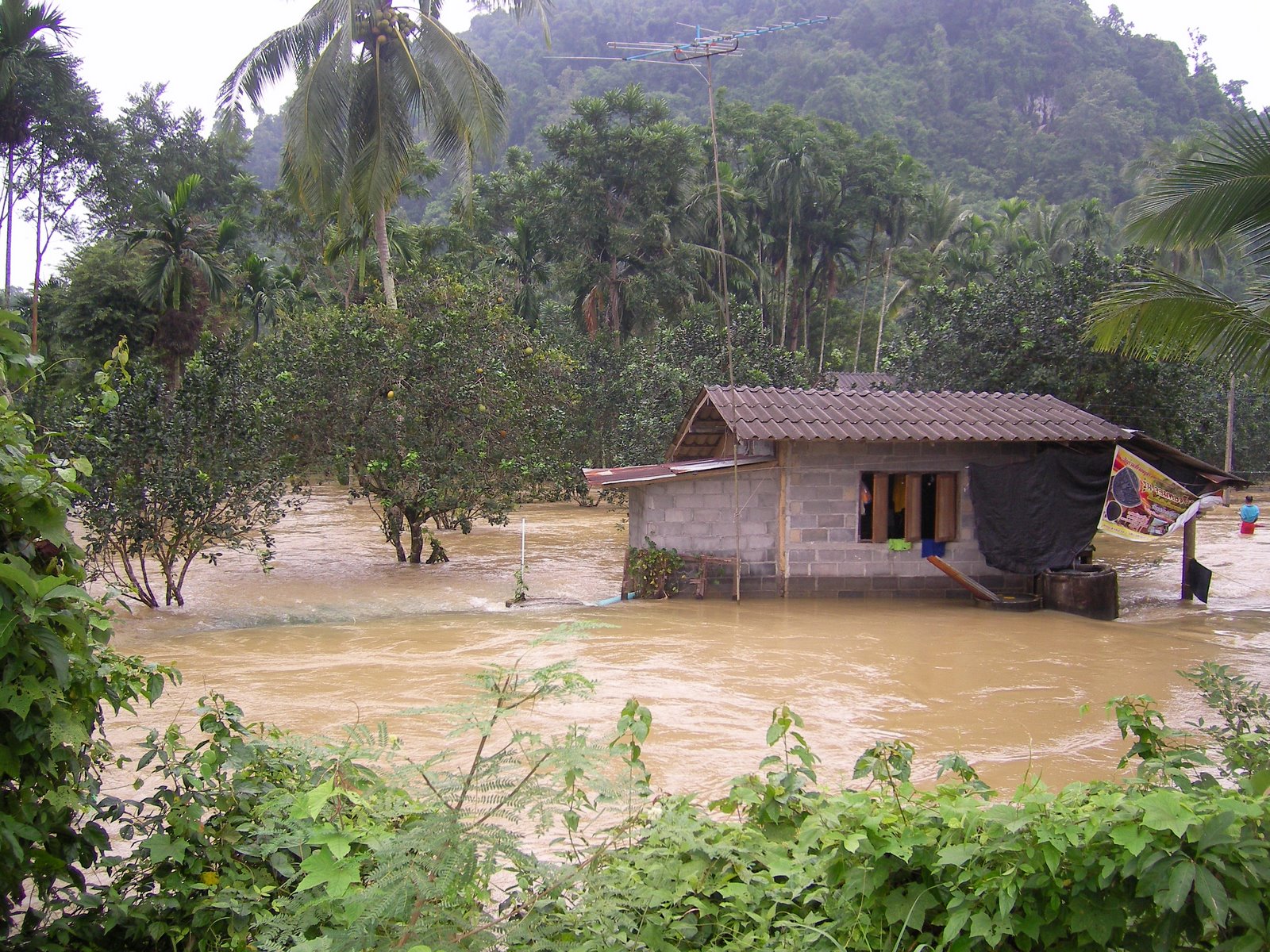 SANY0065.JPG