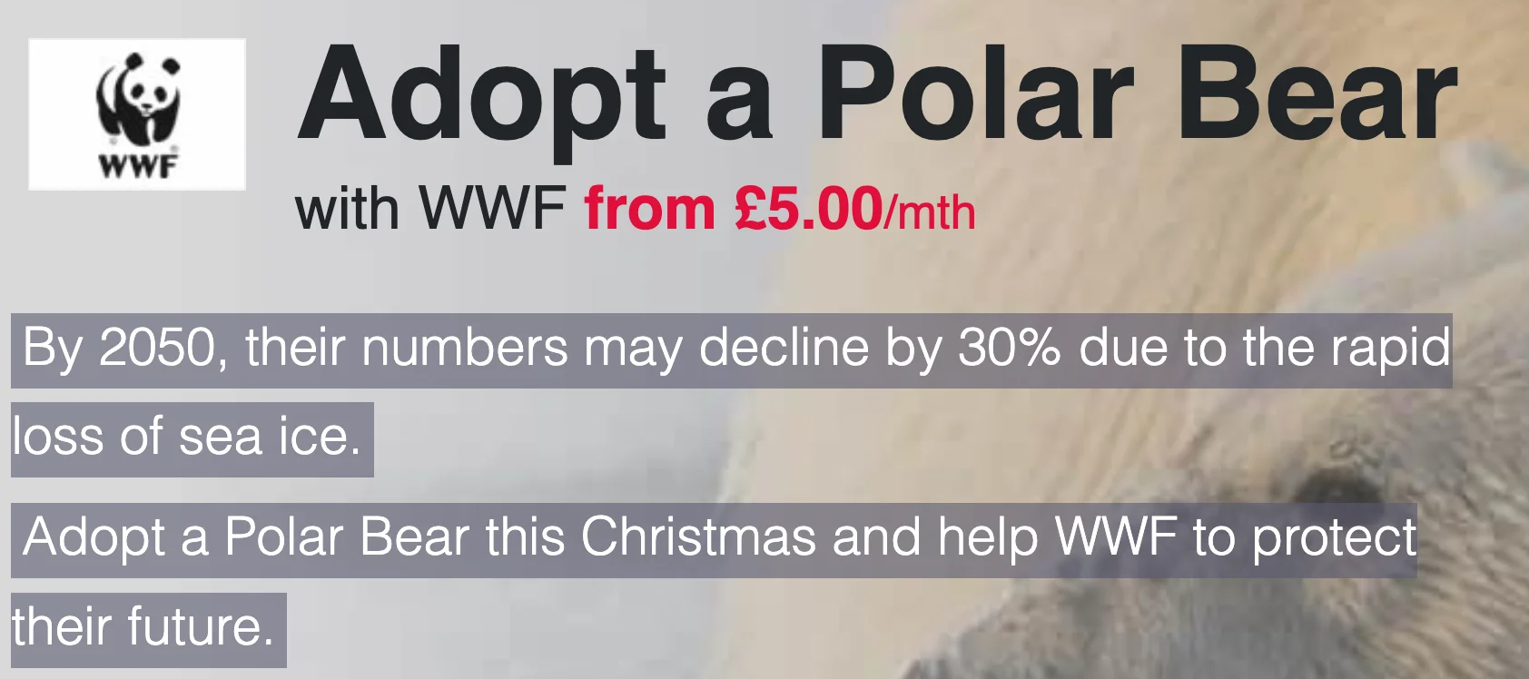 Screenshot 2026-02-08 at 08.26.19.webp