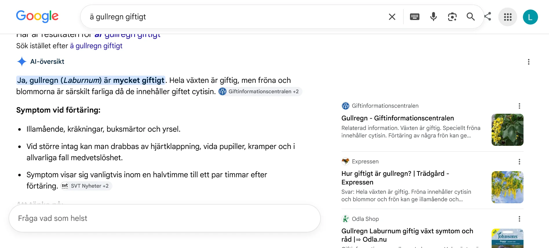 Screenshot 2026-06-09 at 12-16-26 ä gullregn giftigt - Sök på Google.webp