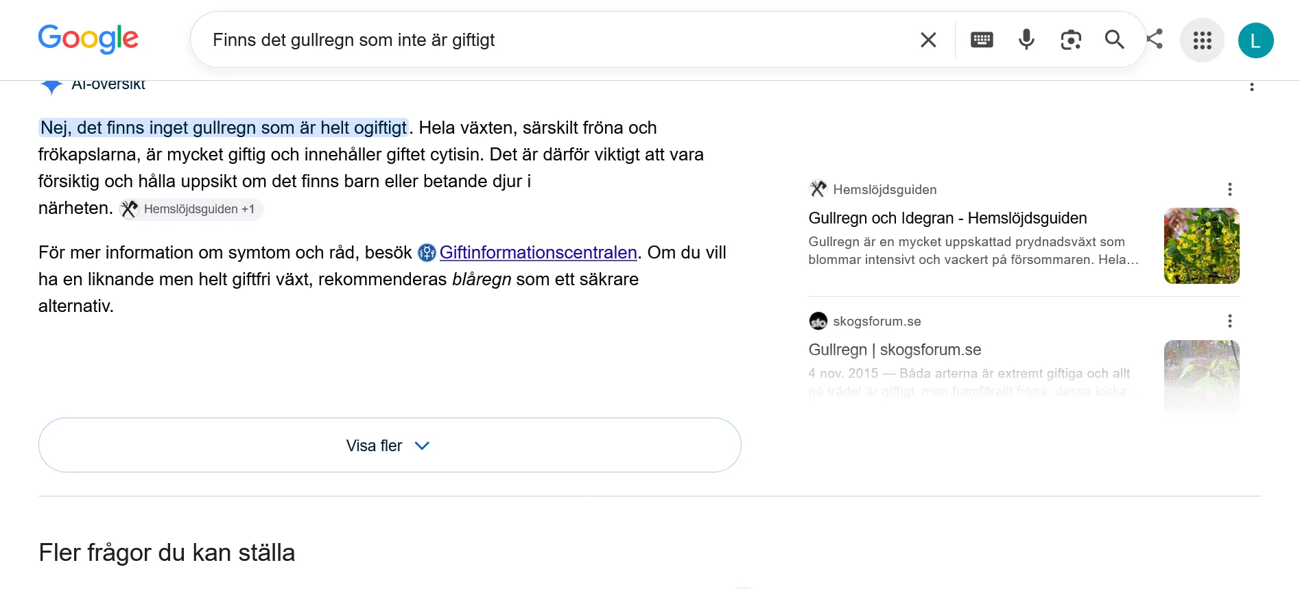 Screenshot 2026-06-09 at 18-06-11 Finns det gullregn som inte är giftigt - Sök på Google.webp