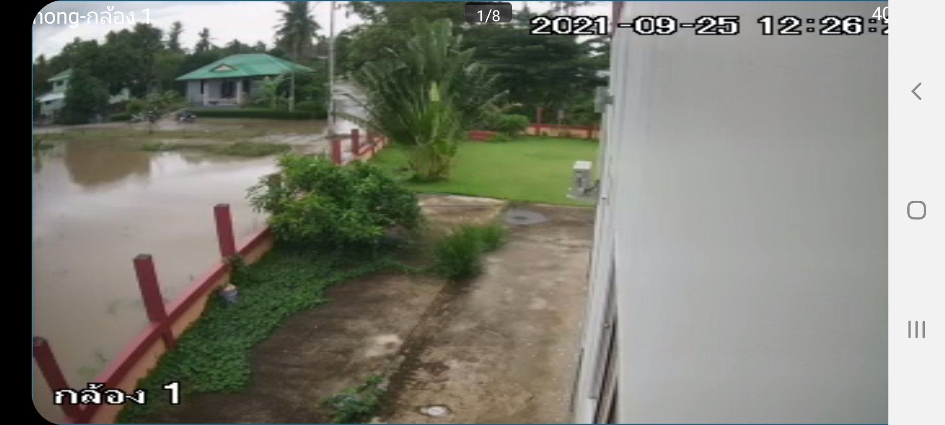 Screenshot_20210925-072022.jpg