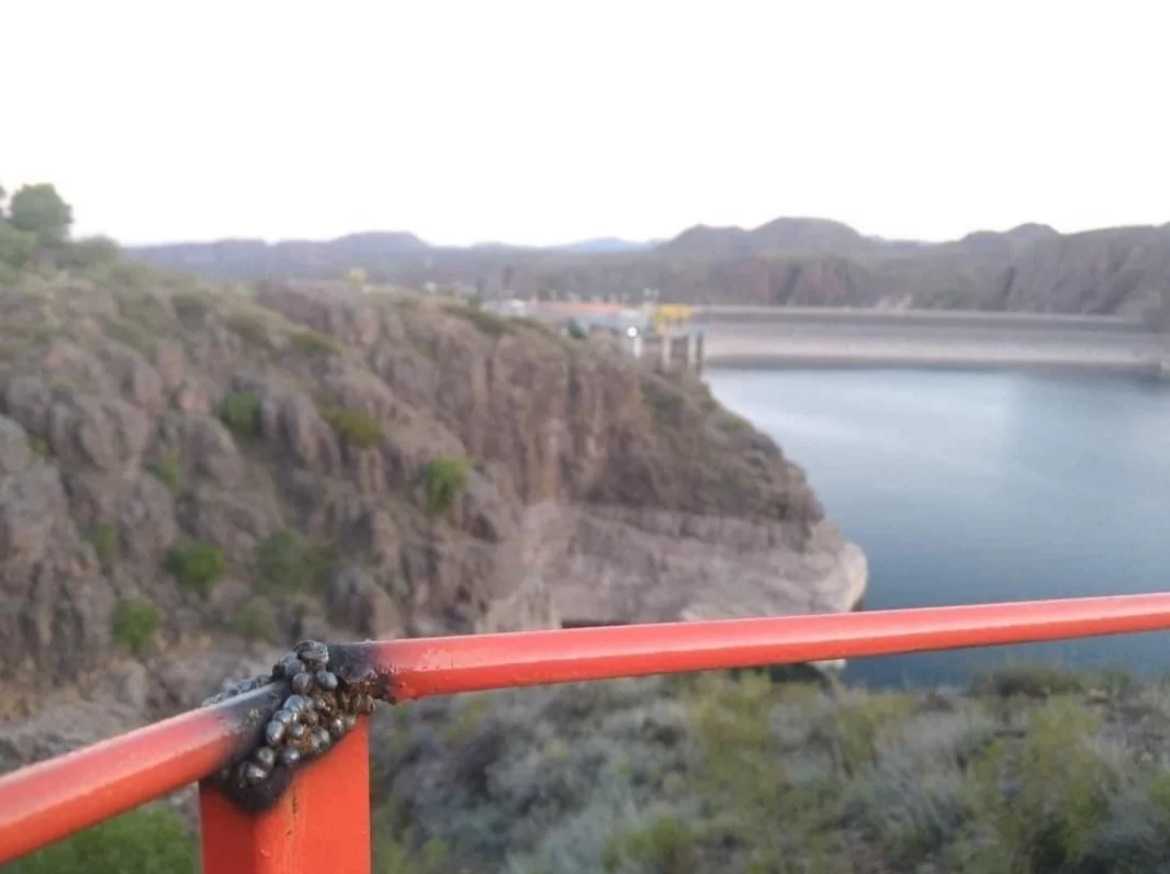 Screenshot_20220924-130756_Facebook.webp