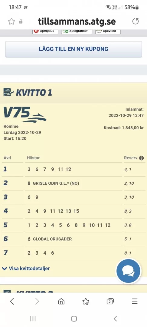 Screenshot_20221029-184756_Samsung Internet.webp