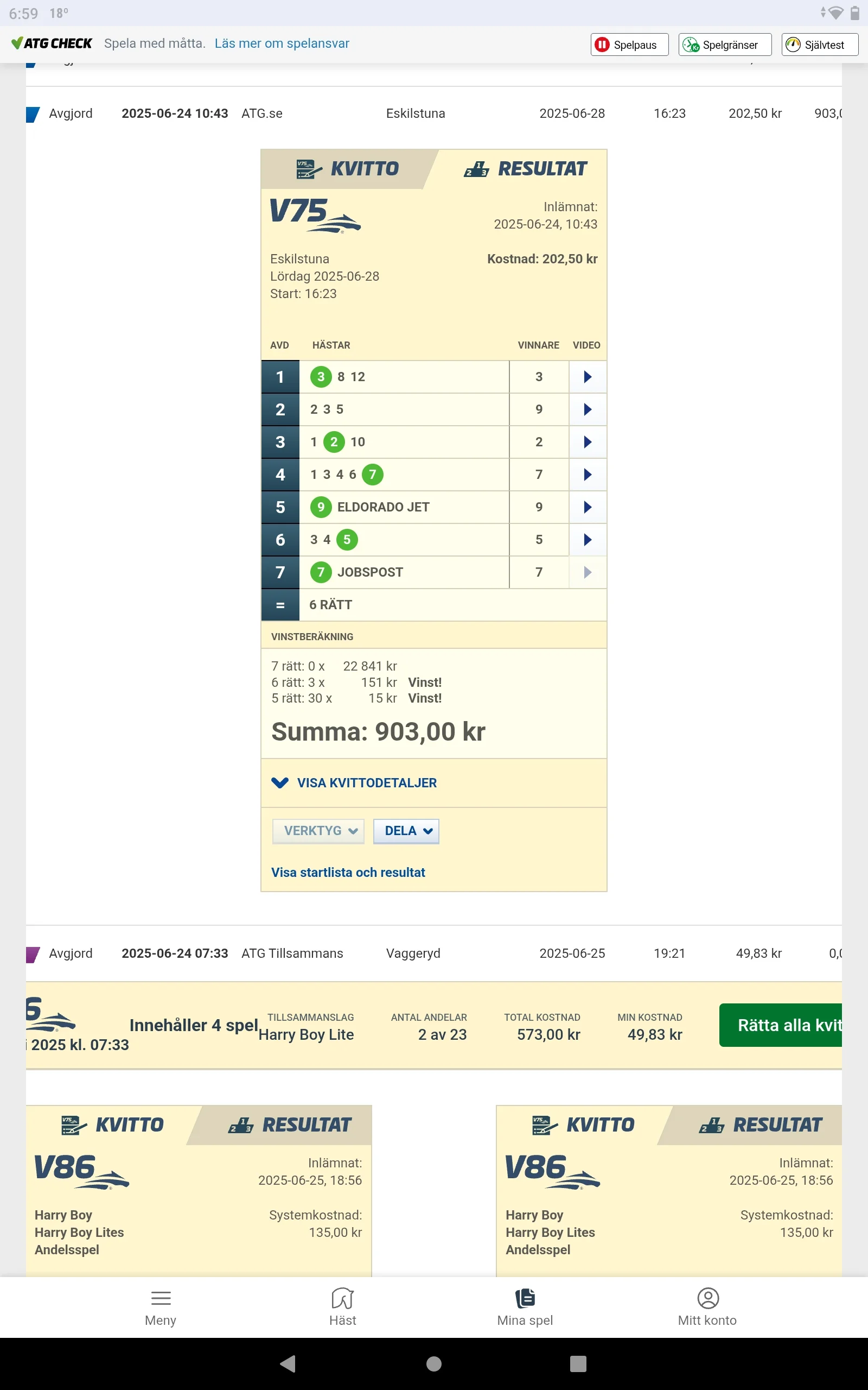 Screenshot_2025-06-28-18-59-35-027.webp