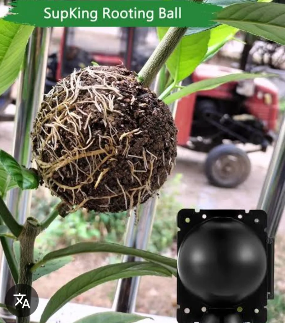 Screenshot_20250320_003533_Google.webp