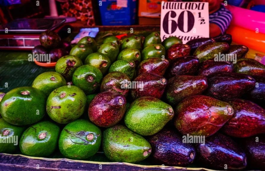 Screenshot_20250325_231537_Chrome.webp