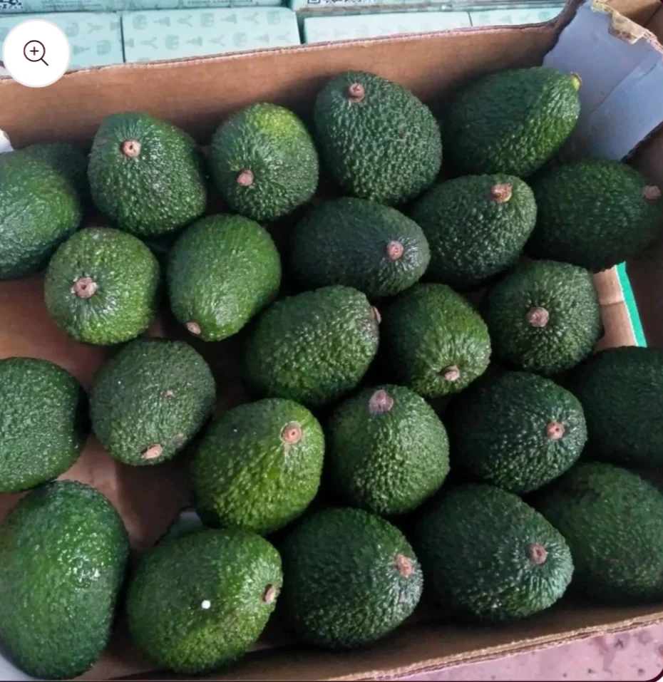 Screenshot_20250325_231842_Chrome.webp