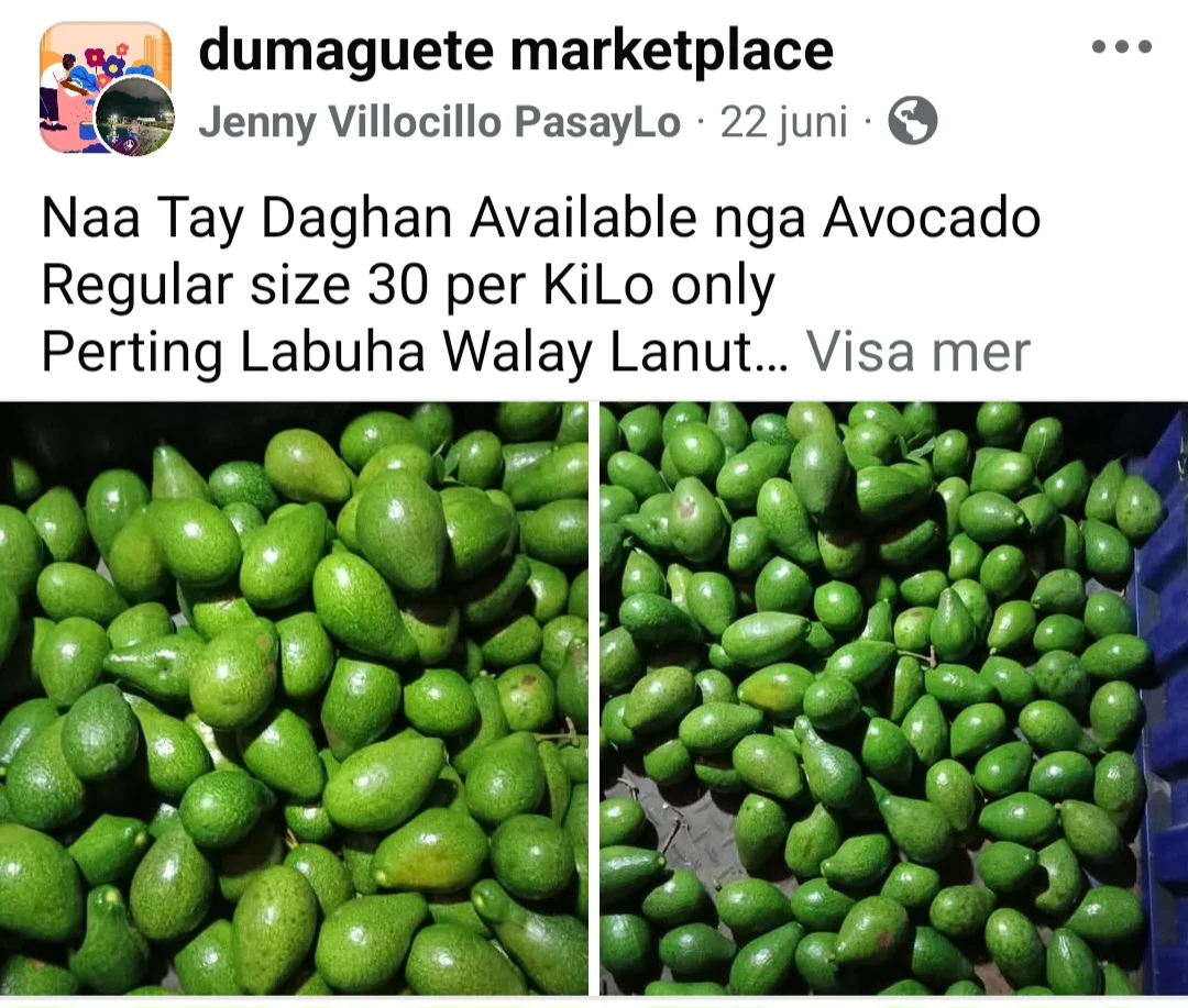 Screenshot_20250826_123309_Facebook.webp