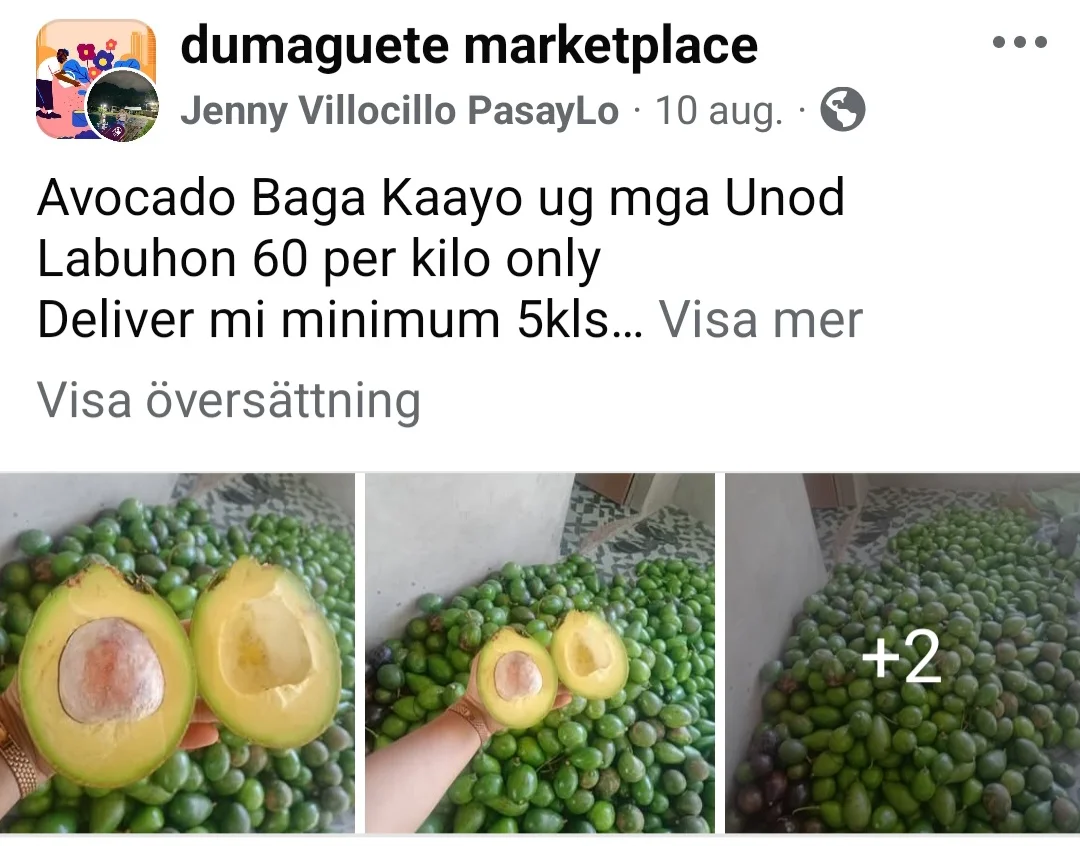 Screenshot_20250826_123316_Facebook.webp