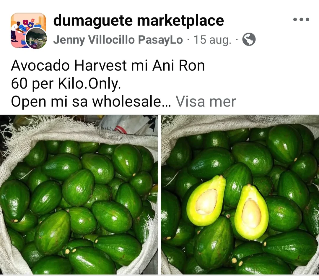 Screenshot_20250826_123324_Facebook.webp