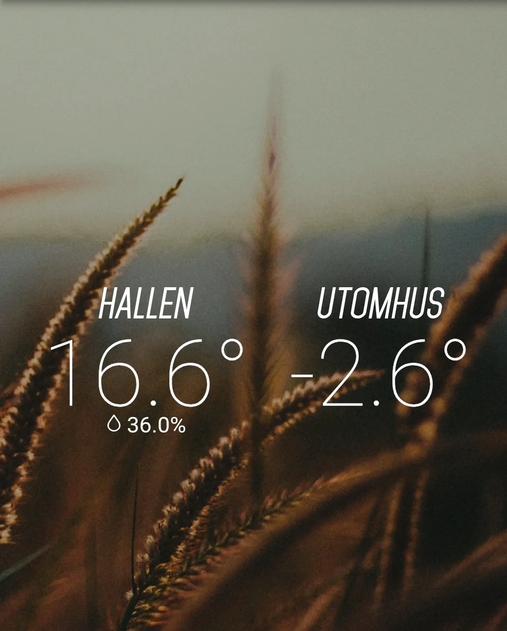 Screenshot_20251108_105515_Ngenic Tune.webp