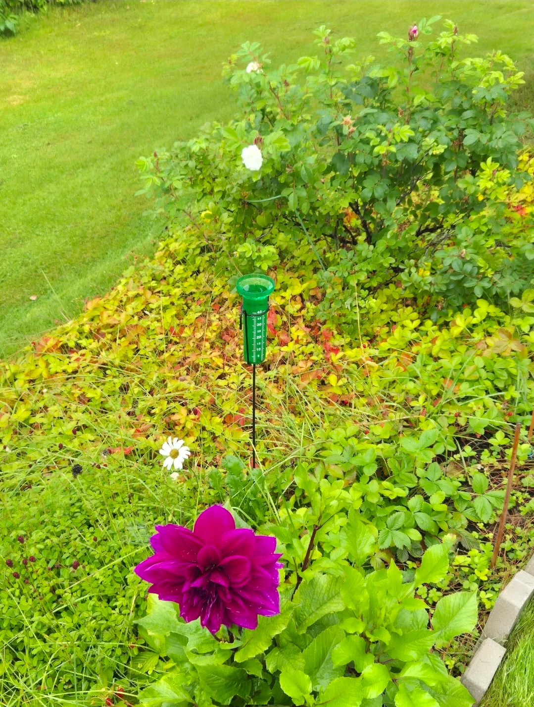 Screenshot_20260815_095221_Gallery.webp