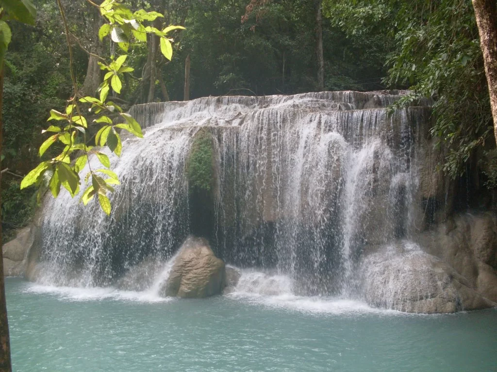 SDC11152.webp
