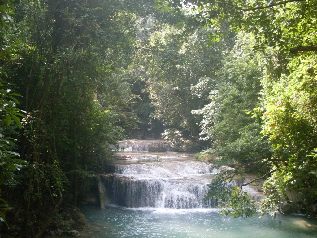 SDC11163.webp