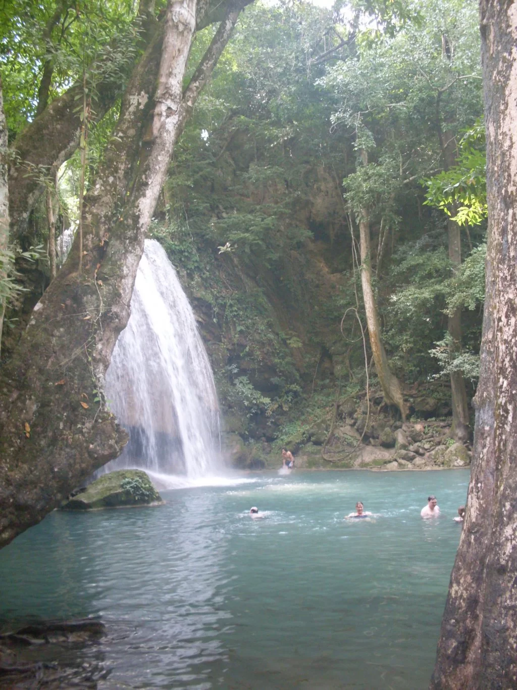 SDC11166.webp