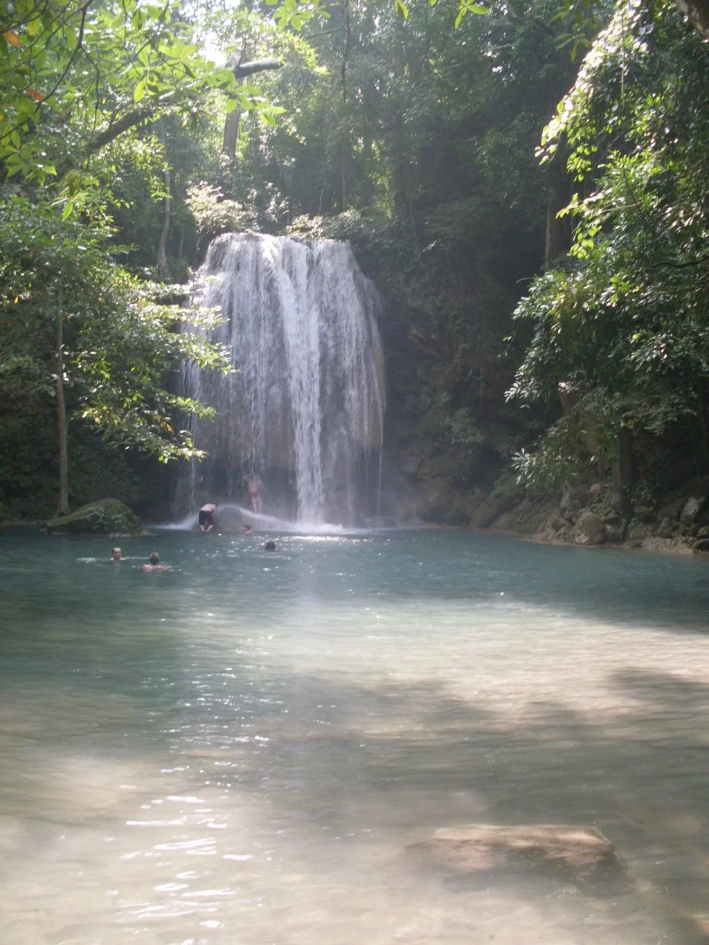 SDC11169.webp