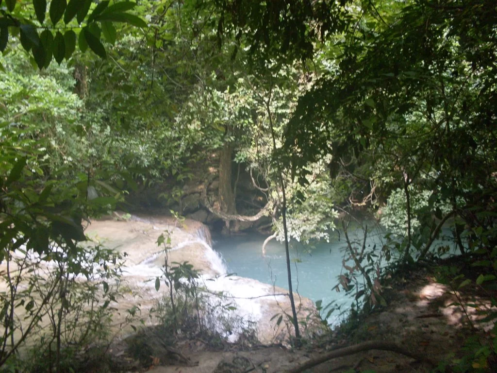 SDC11170.webp