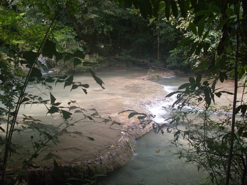 SDC11171.webp