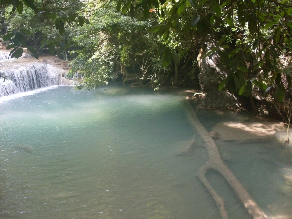 SDC11172.webp